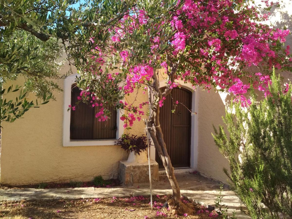 Porto Heli Apartments Palékasztro Kültér fotó