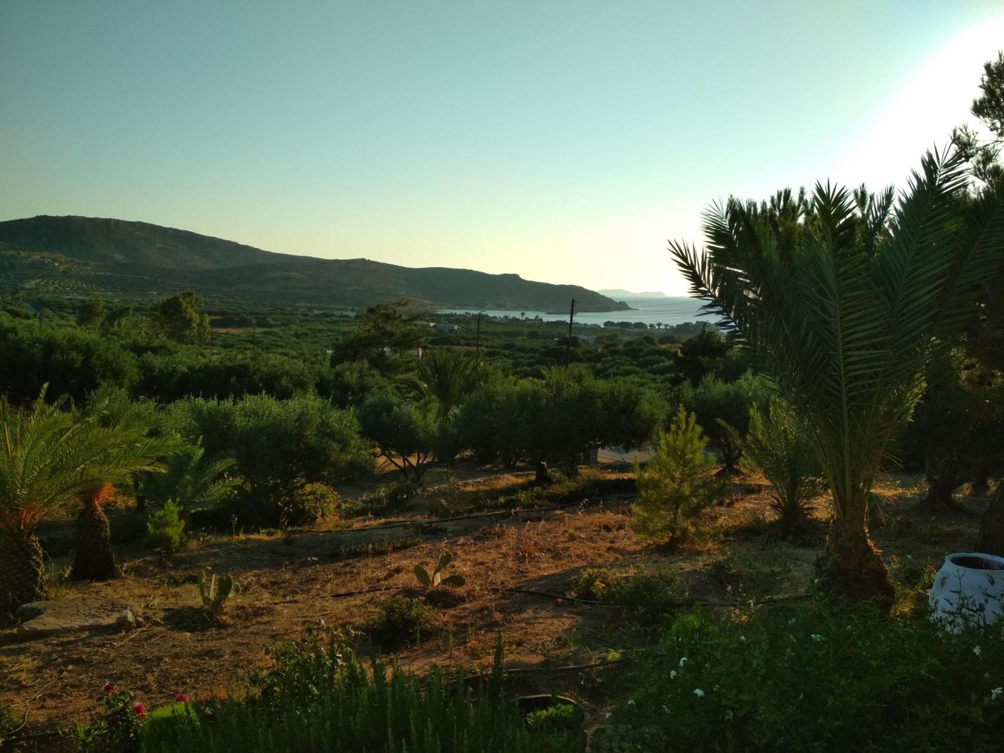 Porto Heli Apartments Palékasztro Kültér fotó