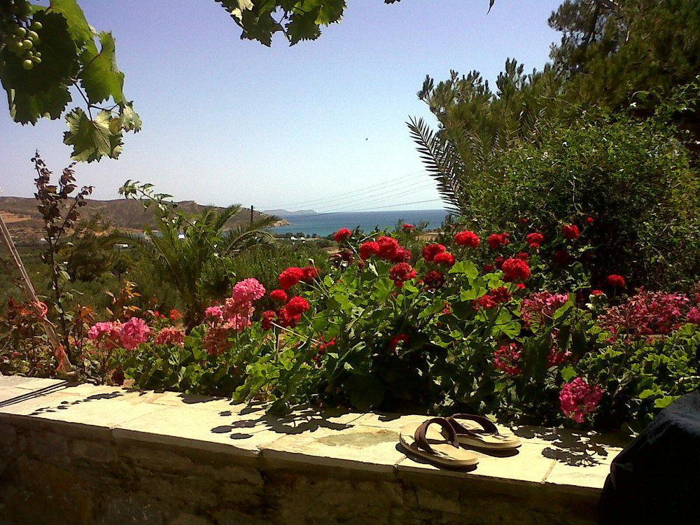 Porto Heli Apartments Palékasztro Kültér fotó