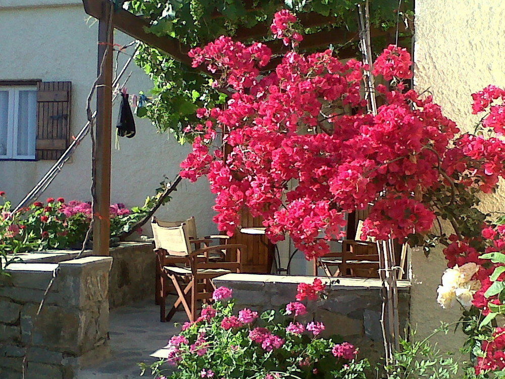 Porto Heli Apartments Palékasztro Kültér fotó